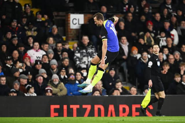 Harry Kane celebrates his goal against Fulham.
