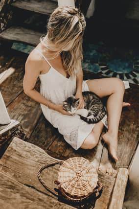 “Whenever a cat rubs their head or cheek against you, they are actually transferring some of their own scent onto you and marking you as a trusted friend rather than foe” said Samantha. “By marking you with their scent they are effectively recognising you as part of their social group. Scent is one of the most important senses to a cat, and mixing their scent with yours is a key part of bonding.”