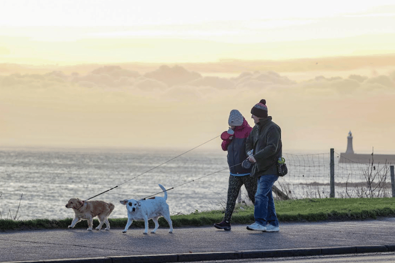 Two dog walkers stroll in the North East with turbulent skies behind them.