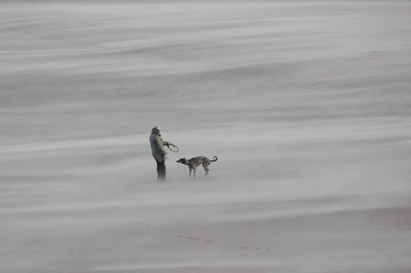Another dog walker pictures on the coast as sand is whipped up by storms.