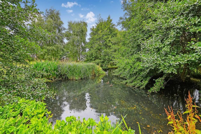 A pond on in the garden.