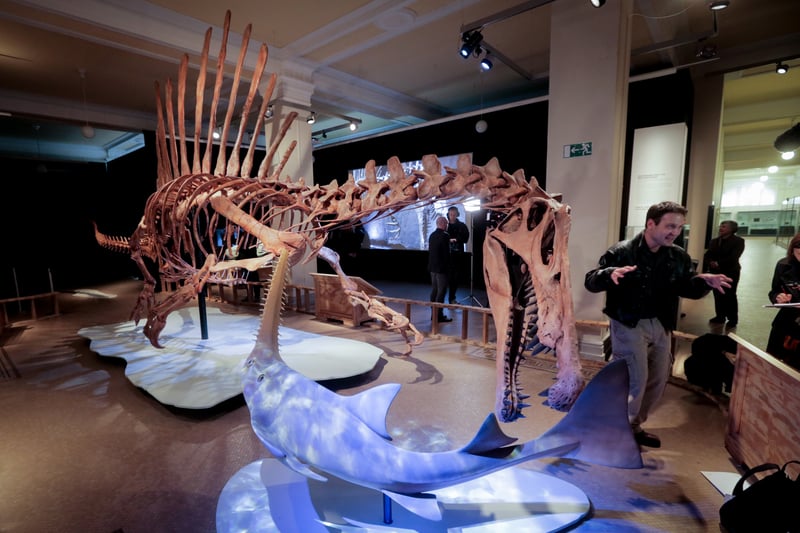 Nizar Ibrahim is a paleotolgist who was part of the team which discovered the largest predatory dinosaur to walk the earth: the Spinosaurus. He is also the first ever palaeontologist TED fellow. He obtained a Bachelor of science in geology and biology from the University of Bristol in 2006