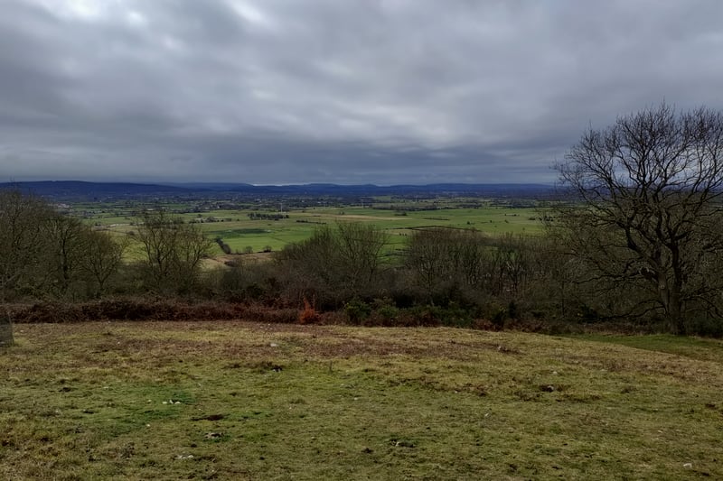 It was a cloudy day, but from the top of Cadbury Camp you could see across the Mendip Hills. Here’s looking back toward Tickenham