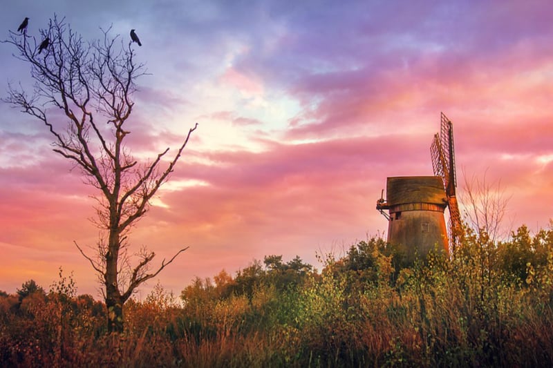 Bidston has over 100 acres of heathland and woodland, as well as medieval architecture. It is believed the Bidston Hill windmill has been around for centuries.
