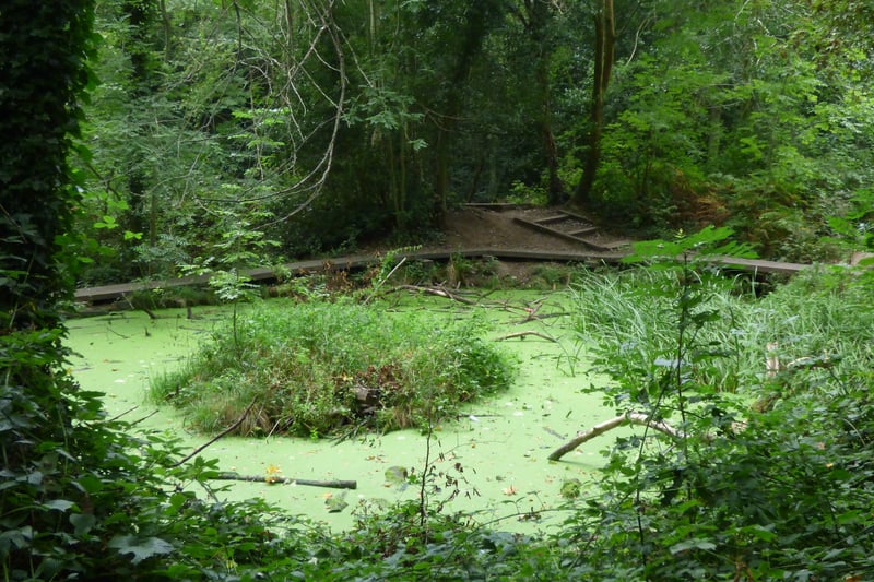 Moseley Bog is one of the destinations for the Lord of the Rings fans as it was the childhood playground for its author JRR Tolkein. This site inspired the ‘old forest’ in The Hobbit and The Lord of The Rings. (Photo -CC BY-SA 2.0/Elliott Brown)