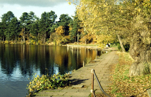 Sutton Park is one of the largest urban parks in Europe.  
The park has open heathland, woodlands, seven lakes, wetlands, and marshes - which you can discover by foot or by cycling around the area. Cattle and wild ponies graze on the land and you can see some rare flora and fauna as well. (Photo - Stephen McKay/Creative Commons Attribution-ShareAlike 2.0 license)