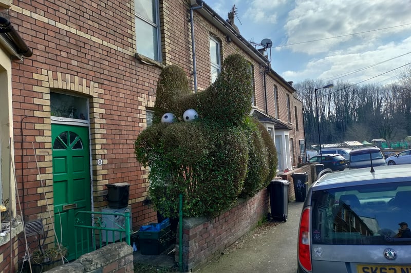 We couldn’t be sure which animal this perfectly trimmed hedge was intended to be, but we loved it. This was outside a terraced house in Hopetourn Road near St Werburghs City Farm.