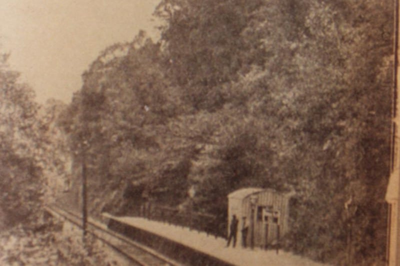 The station was opened on the Bristol and Portishead Pier Railway for visitors to Leigh Woods. It opened in 1928, but closed just four years later in 1932. A tiny shed served as a shelter for passengers.