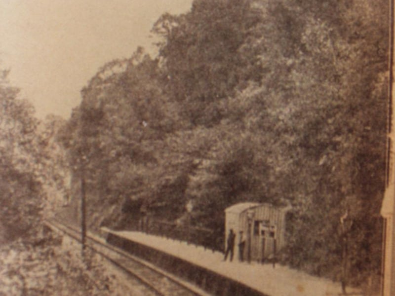 The station was opened on the Bristol and Portishead Pier Railway for visitors to Leigh Woods. It opened in 1928, but closed just four years later in 1932. A tiny shed served as a shelter for passengers.