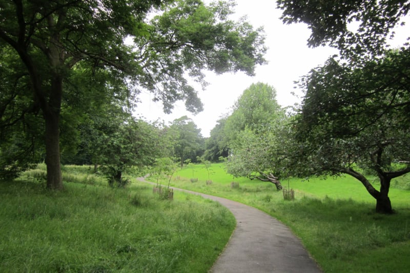 Princes Park had the seventh highest tree canopy in Liverpool, with 21.8% of the area covered by trees.
