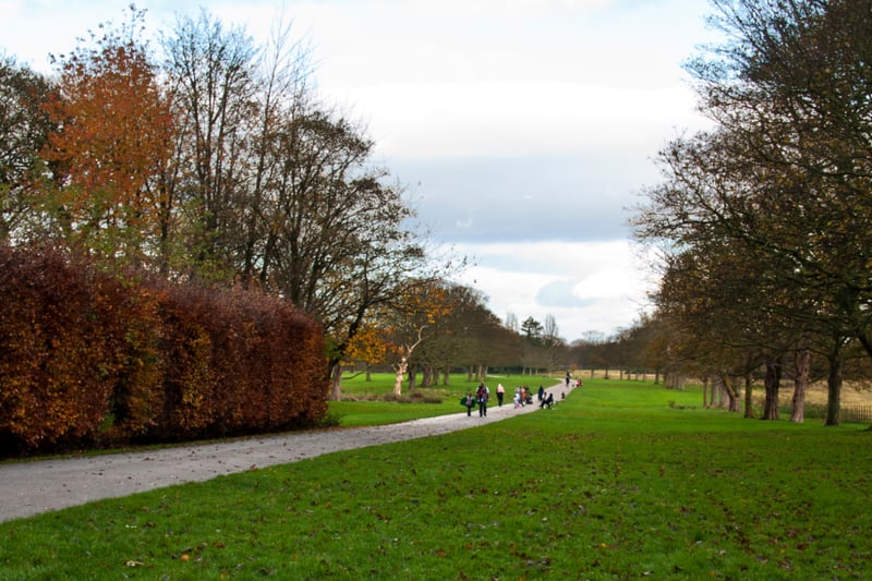Croxteth Park had the fifth highest tree canopy in Liverpool, with 24.9% of the area covered by trees.