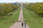 King Charles III is making some major changes to make Windsor Castle more environmentally friendly.