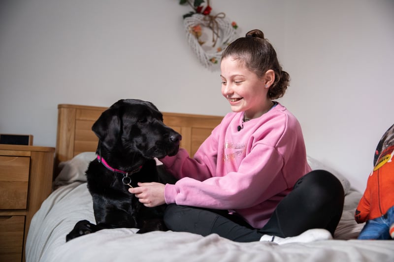 Lily Bellamy and Beauty the Labrador Retriever has got the Bellamy family, from Swansea, through the toughest of times, continues to be a four-legged best friend to them all and has now been nominated for The Kennel Club Hero Dog Award 2023.

11-year-old Lily, the youngest member of the family, was diagnosed with leukaemia, just two months after Beauty joined the family, who has been a tonic during this very difficult time. She is the only member of the family who can make Lily laugh when she is undergoing weekly chemotherapy, or taking steroids which can really impact her mood.  (Photo - The Kennel Club)