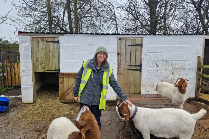 Hartcliffe City Farm is a free place with farm animals and other activities for the little ones to enjoy.