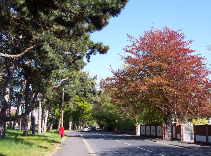 Formby Central & Freshfield South had the second highest tree canopy in Sefton, with 15.5% of the area covered by trees.