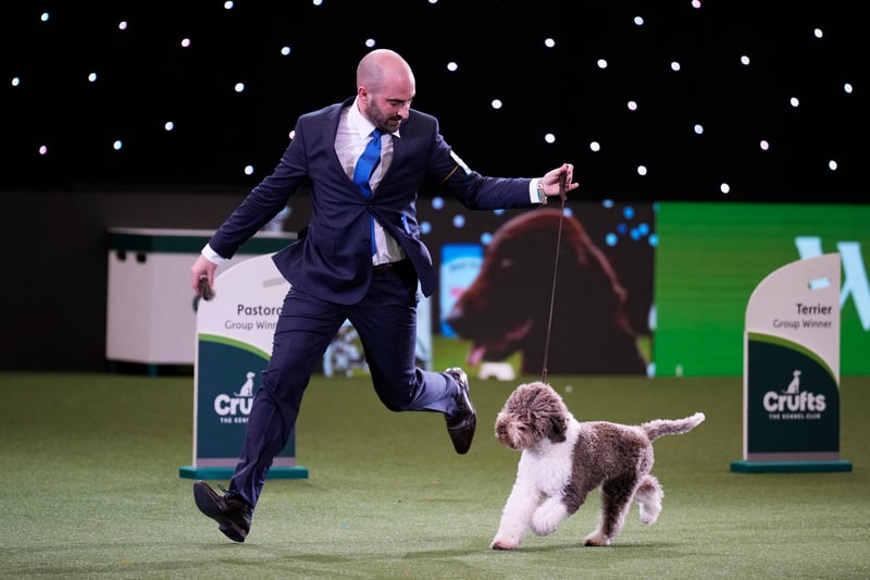 Orca makes her Crufts victory lap