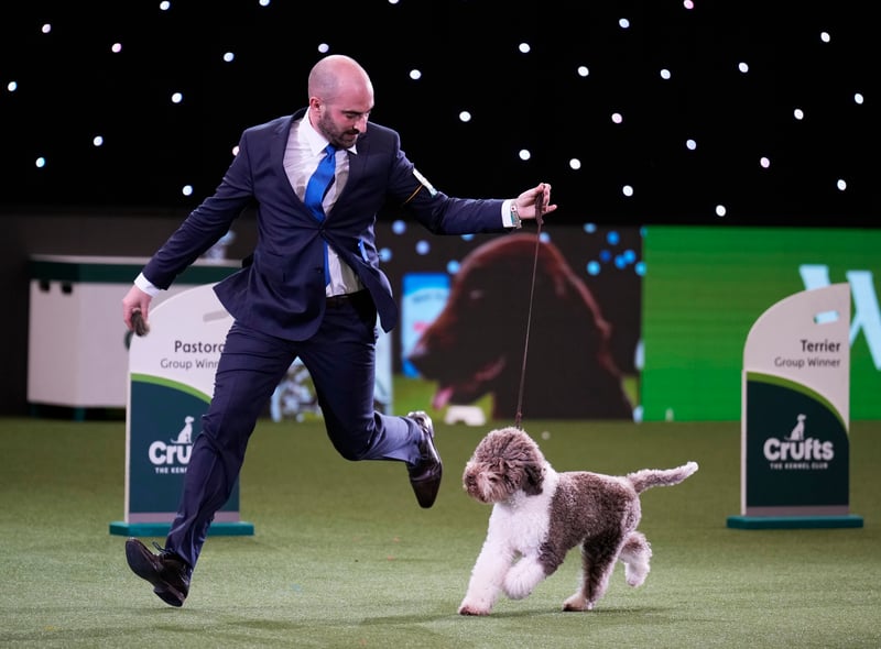 Orca makes her Crufts victory lap