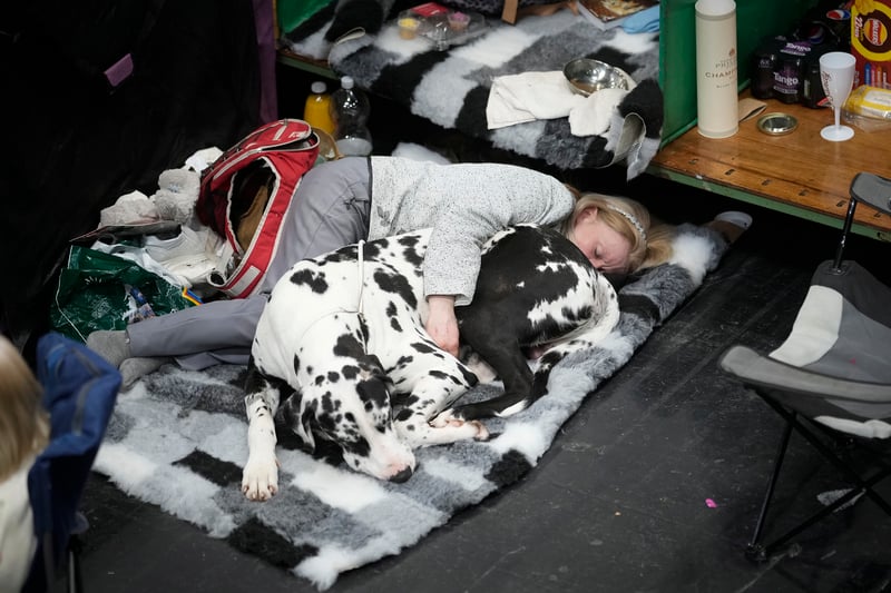 An owner and her dog take a nap after a long day Credit: Getty