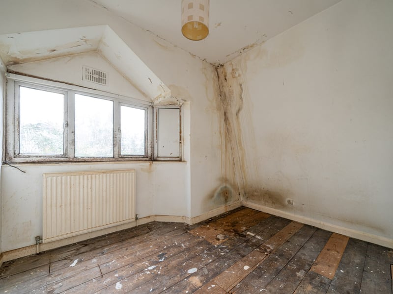 Mould in the £785k property