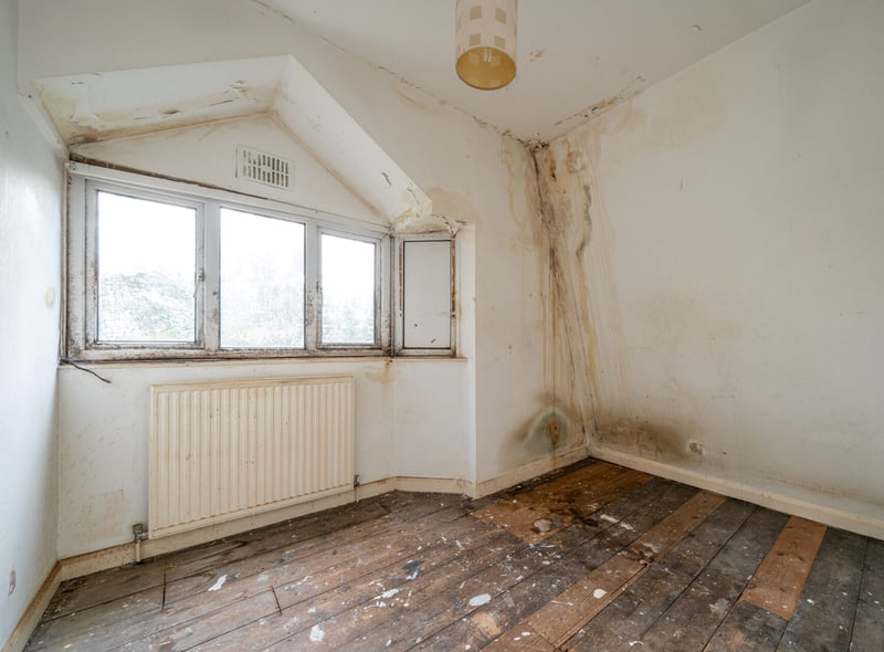 Mould in the £785k property