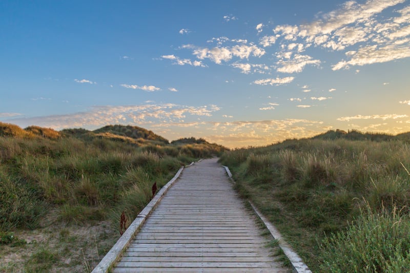 Formby is something of a coastal haven for wildlife where you can explore the dunes and woodlands which are home to rare creatures such as the natterjack toast or simply enjoy a walk along the sand. Photo: AdobeStock