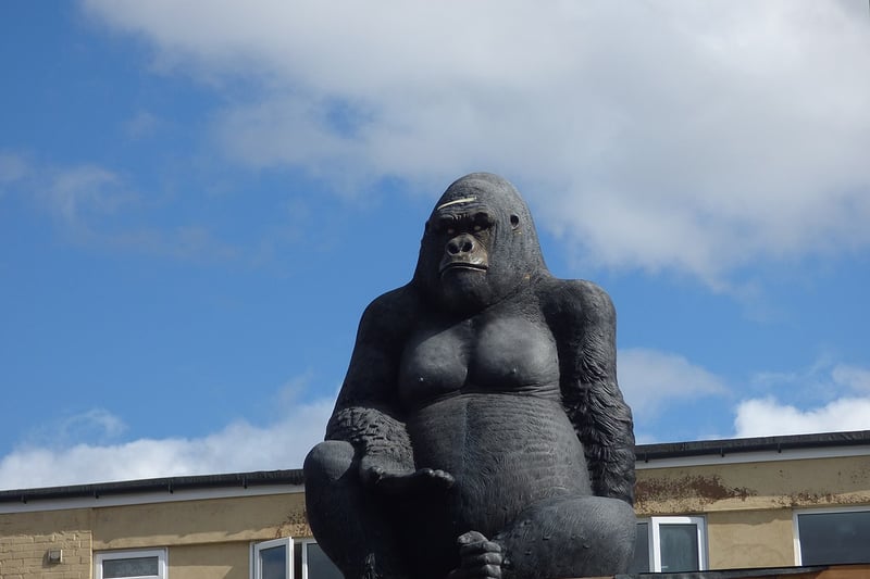 Stirchley Gorilla is located on Pershore Road, and if you can find him - why not click a photo of yourself with it for the gram? (Photo - Elliott Brown/ Creative Commons)