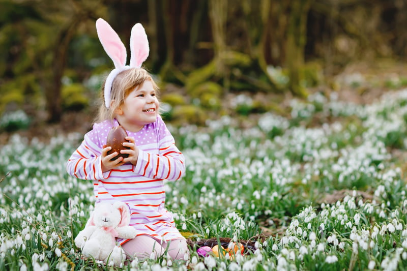 From Monday April 3 to April 10, Speke Hall is hosting an Easter trail with nature-inspired activities for the whole family. The price of the trail is £3 per child and includes a trail map, pencil and a chocolate egg at the end - including allergy friendly options.