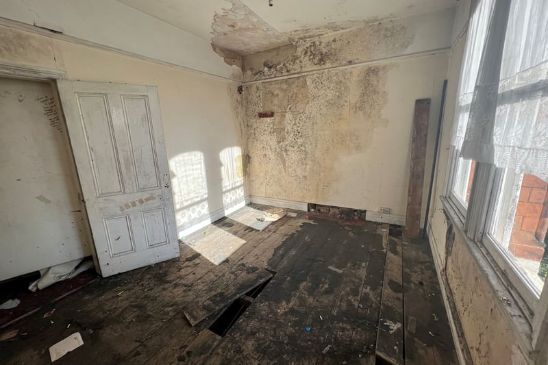 Inside the mucky mansion