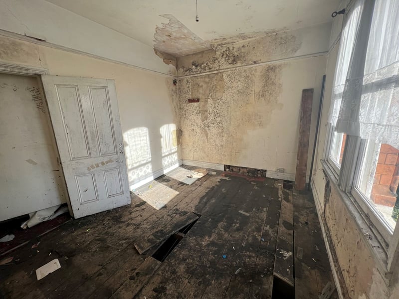 Inside the mucky mansion