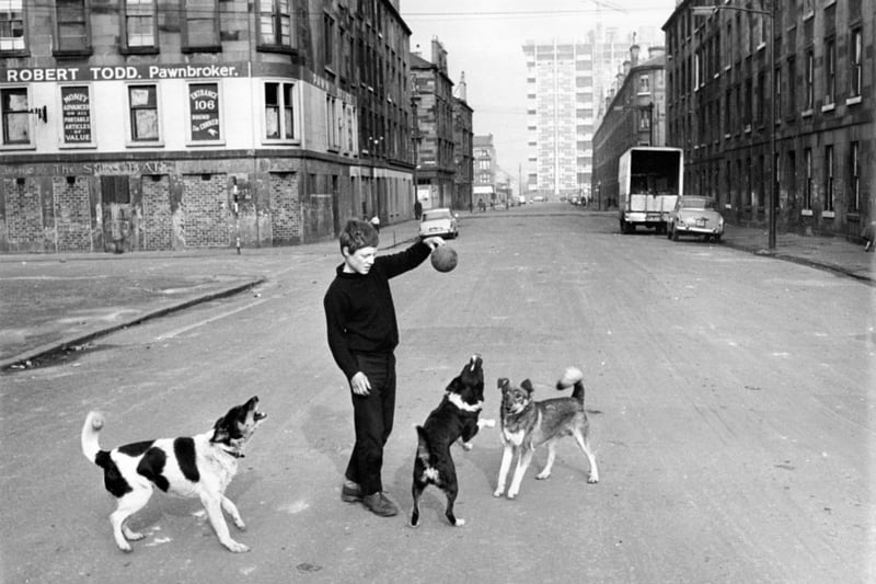  A boy playing with dogs in a road of tenement housing in the Gorbals area of Glasgow. (Photo by Albert McCabe/Express/Getty Images)