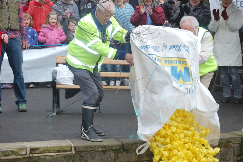 Endcliffe Park Charity Duck Race - the ducks being tipped into the river