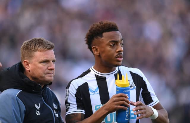 Newcastle United midfielder Joe Willock. (Photo by Stu Forster/Getty Images)
