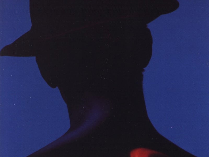 Hats was released in 1989 and was the second studio album released by The Blue Nile. It contains the singles "The Downtown Lights", "Headlights on the Parade" and "Saturday Night". Practically perfect. 