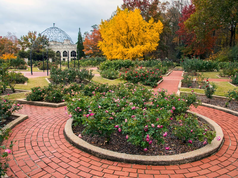 The Botanical Gardens is an incredible 15-acre site with exotic flora in elegant Victorian glass houses, Bonsai garden & bird collection. They also host events from time to time. The Butterfly House is open and ready to amaze you and your kids this August, so don’t miss that out. (Photo - adobe stock iamges)
