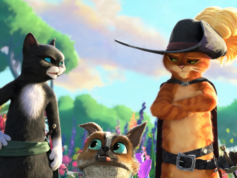 Animated films really did well at the cinema this year and the latest Puss In Boots film was very much part of that.