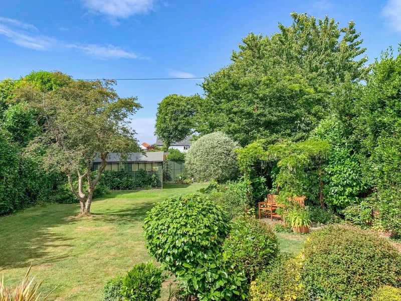 The garden has an array of mature trees, shrubs and bushes