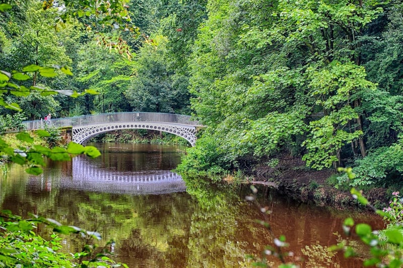 Linn Park is a great place to explore on a winter's day. The most popular route to take in the park is the White Cart Walkway which follows the White Cart Water which leads you to the park's Ha’penny Bridge.