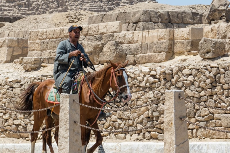 In this picture of horse-riding in front of the Pyramids at Giza, you can see the photographer Alexandre has used the left horizontal grid-line to position the subject - the man on the horse. It ‘pops’ in contrast to the landscape behind. 