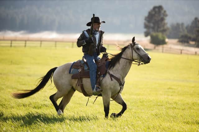 Cowson These are the Top 10 ‘cowboy culture’ phrases often used in the UK
