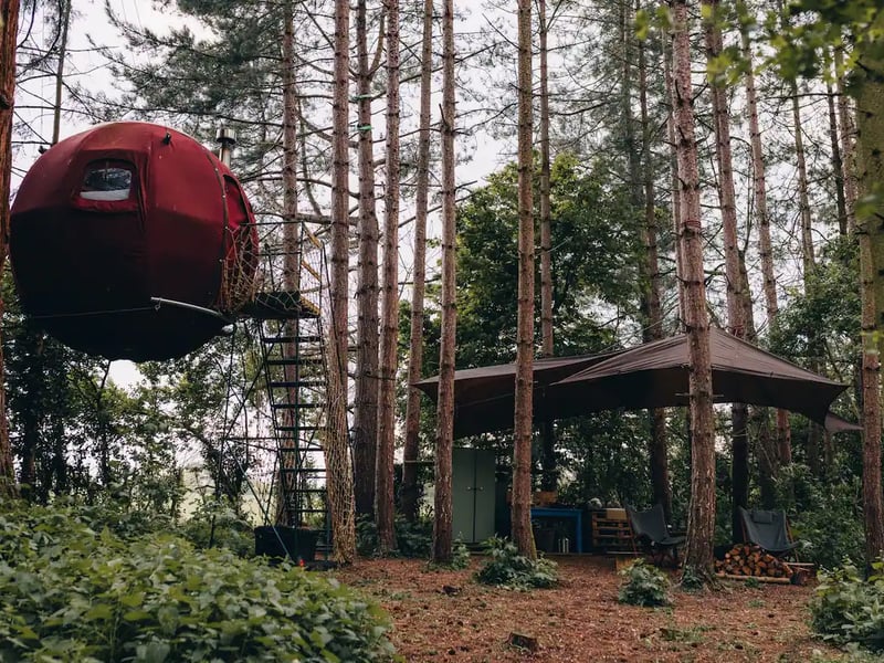 The Sleepy Explorer's Globe Treehouse