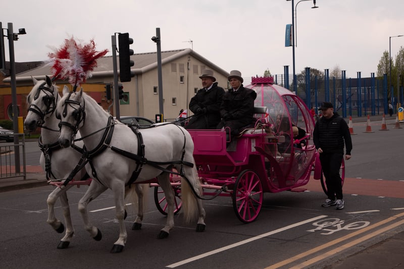 A fairytale carriage drawn by white horses with red and white plumes in the St George’s Day parade. Photo; Tony Gribben