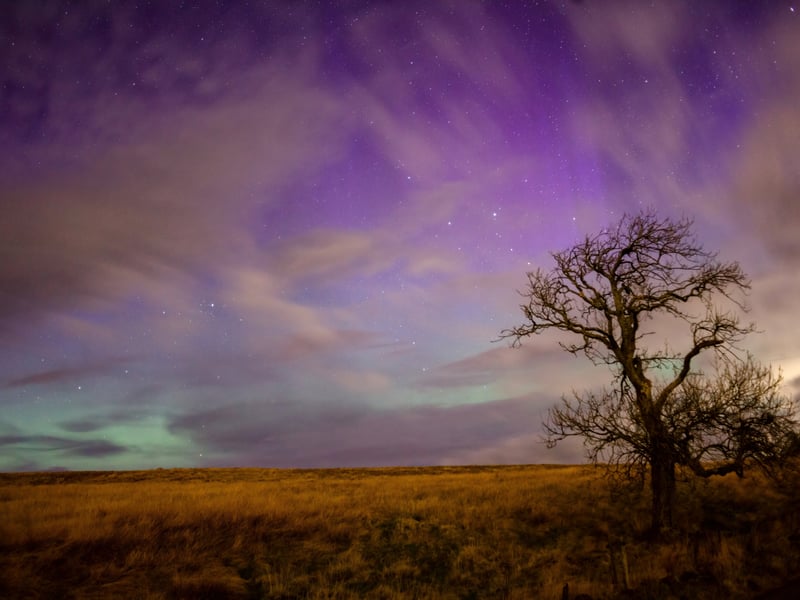 Magical photos show the Aurora Borealis in a once-in-a-decade display (Photo: SWNS)
