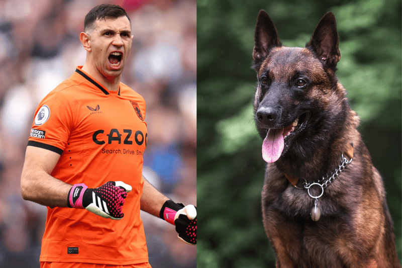 Emi Martinez of Aston Villa bought a Belgian Malinois guard dog to protect his family in the West Midlands and his World Cup winner’s medal. (Photo - Getty & Adobe Stock images) 