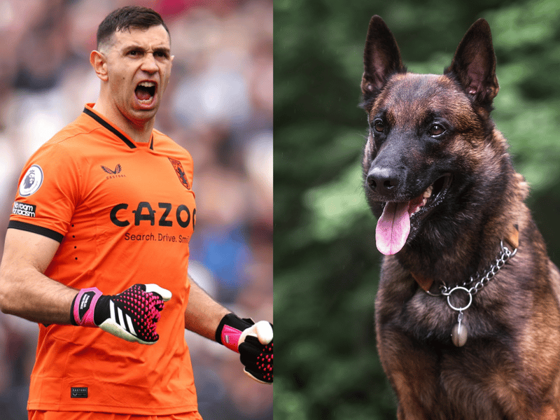 Emi Martinez of Aston Villa bought a Belgian Malinois guard dog to protect his family in the West Midlands and his World Cup winner’s medal. (Photo - Getty & Adobe Stock images) 