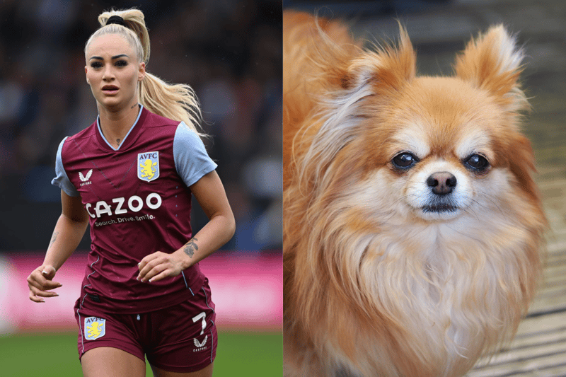 Aston Villa’s Alisha Lehmann got herself a dog during the lockdown. Her dog, Loui, is a cross between Pomeranian and Chihuahua. (Photo - Getty Iamges & Adobe stock images)