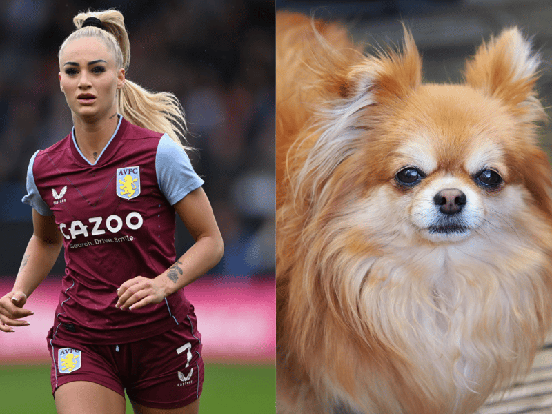Aston Villa’s Alisha Lehmann got herself a dog during the lockdown. Her dog, Loui, is a cross between Pomeranian and Chihuahua. (Photo - Getty Iamges & Adobe stock images)
