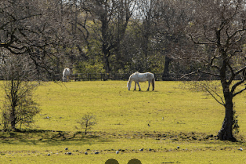 With the idylic Woodgate Valley country park on their doorstep, residents of the neighbourhood live in one of the more quieter areas of north Birmingham