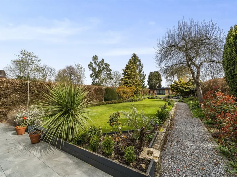 Another view of the garden