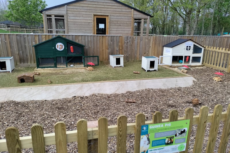 If you like guinea pigs, you’ll love this. A fenced off area provides a haven for guinea pigs with houses and even wooden benches for the animals to take on