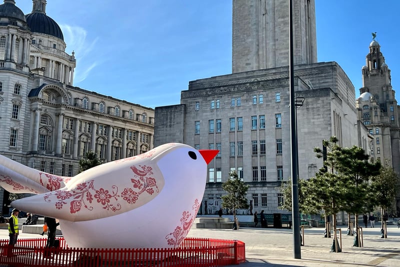 The Soloveiko Songbird trail in Liverpool city centre. 